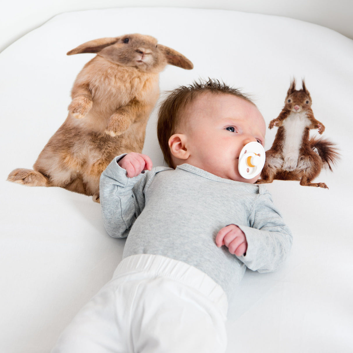 Snurk Completo Letto per Bimbi in Percalle di Cotone - FurryFriends Lenzuola Bimbi Snurk